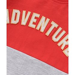 Babyhug Cotton Knit Full Sleeves Cut & Sew with Text Graphics Sweatshirt  - Red & Grey - Image 17
