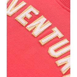 Babyhug Cotton Knit Full Sleeves Cut & Sew with Text Graphics Sweatshirt  - Red & Grey - Image 4