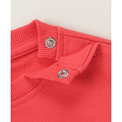 Babyhug Cotton Knit Full Sleeves Cut & Sew with Text Graphics Sweatshirt  - Red & Grey - Image 9